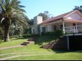 Frente con palmera