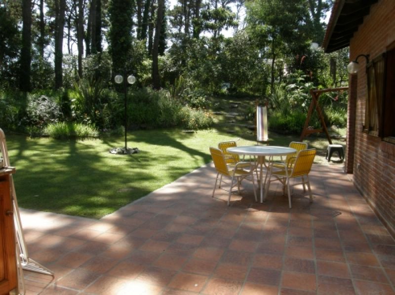 Patio y jardin